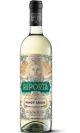 vynas pinot grigio